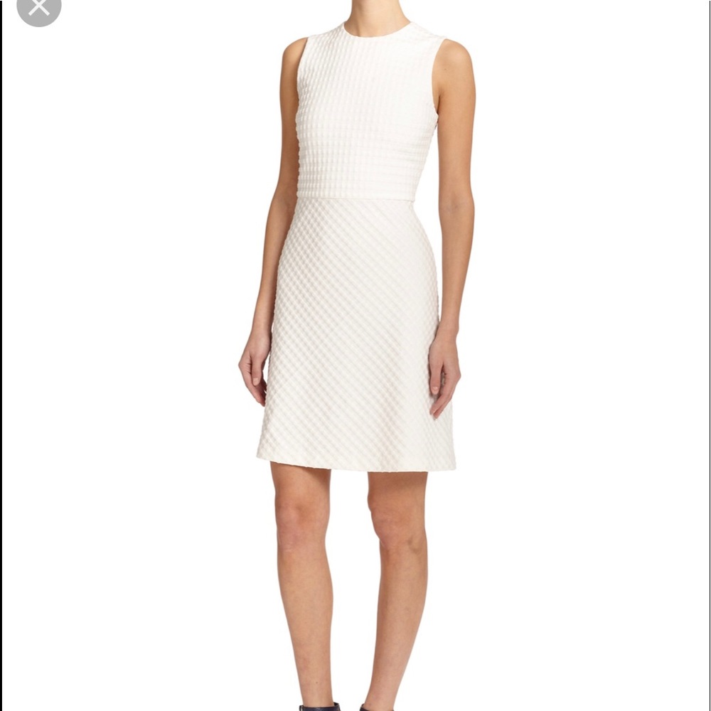 ๐ฒ๐ป Theory Women's White Textured Dress - Picture 1 of 7